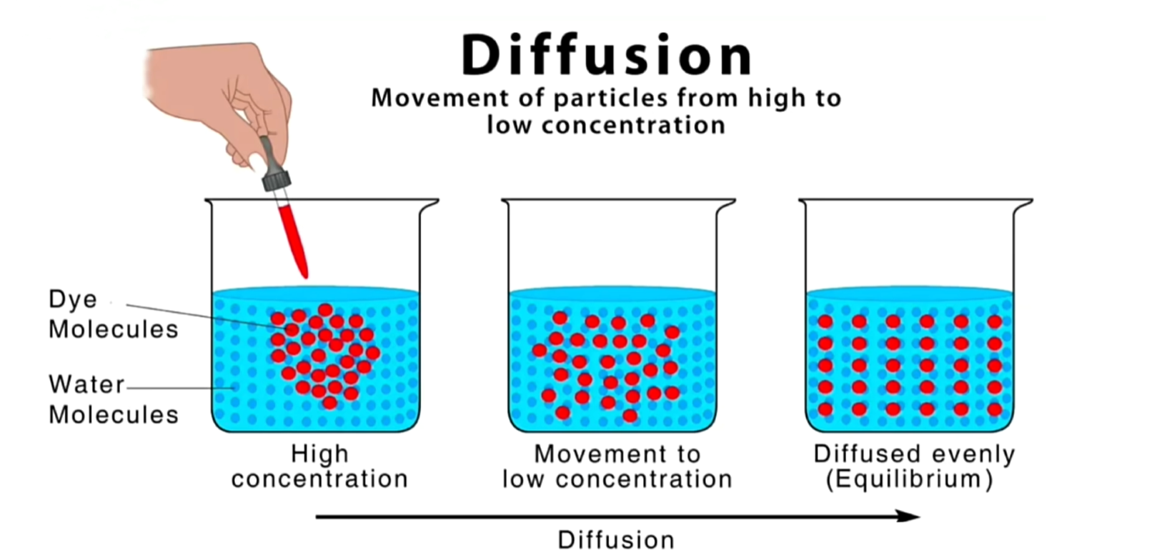 diffusionmox